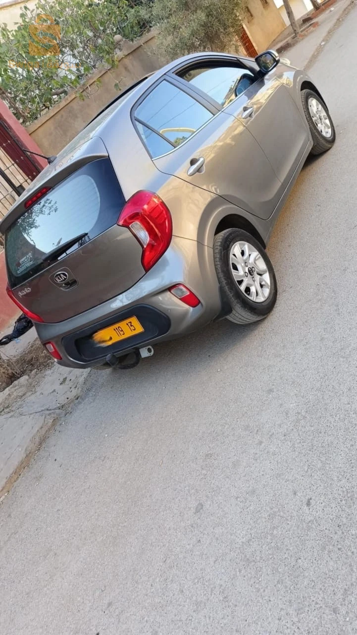 Kia Picanto 13 TLEMCEN