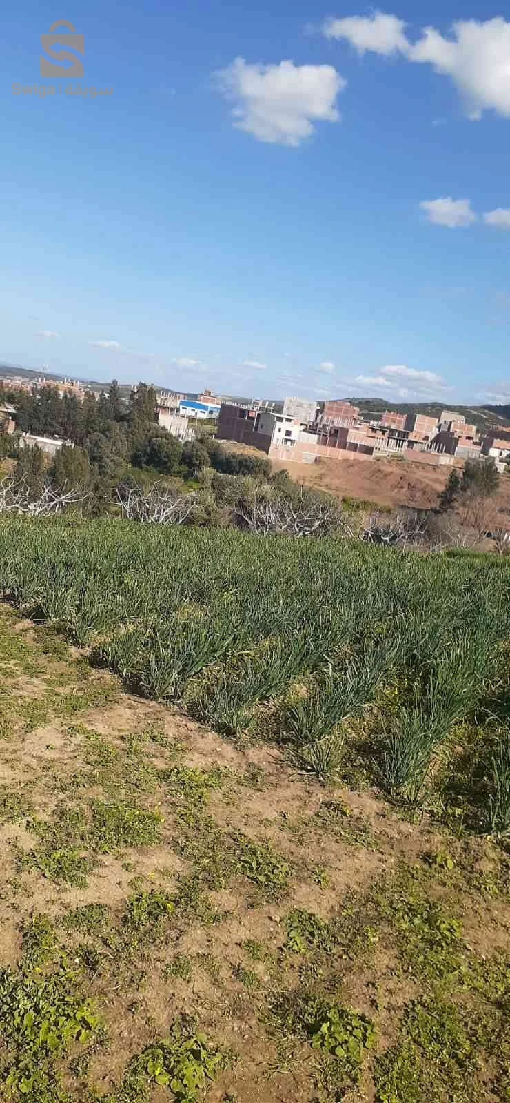 بيع قطعة ارض سكنية