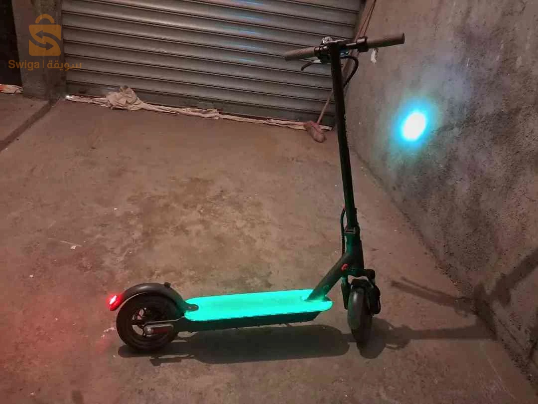 تروتينات ubaldo