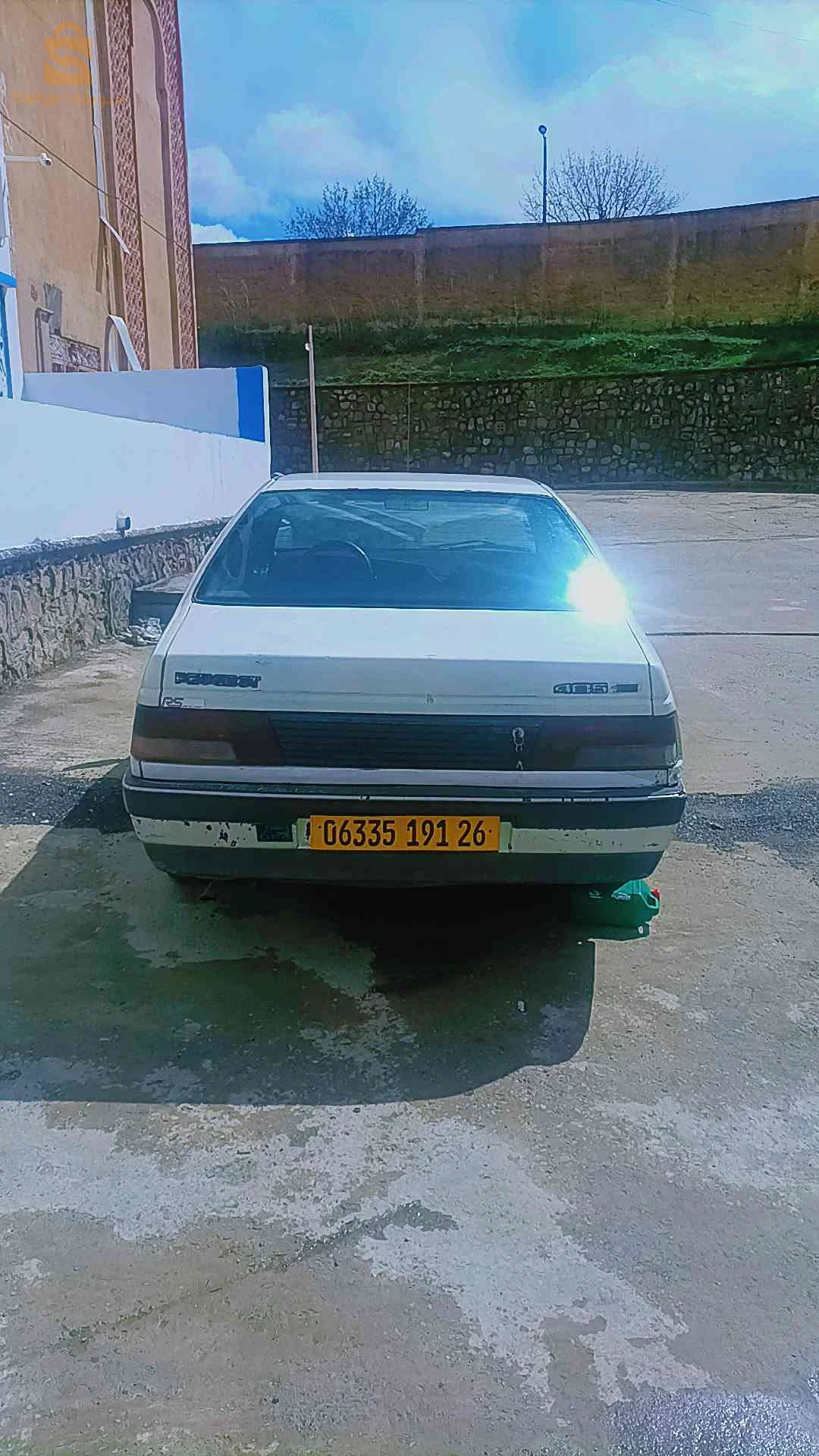 Peugeot 405 1991 26 MEDEA
