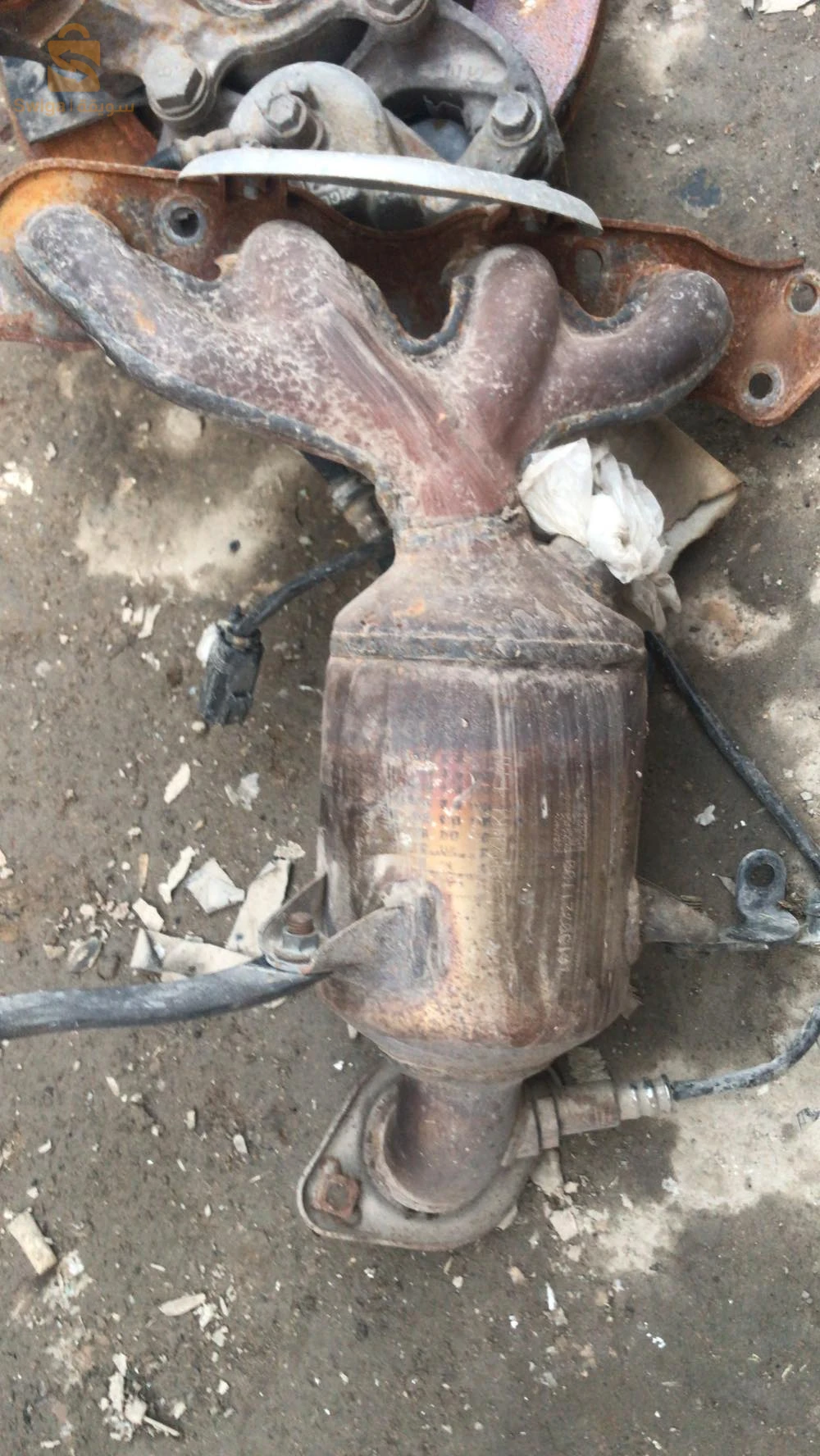 سوزوكي Baleno 2025 17 الجلفة