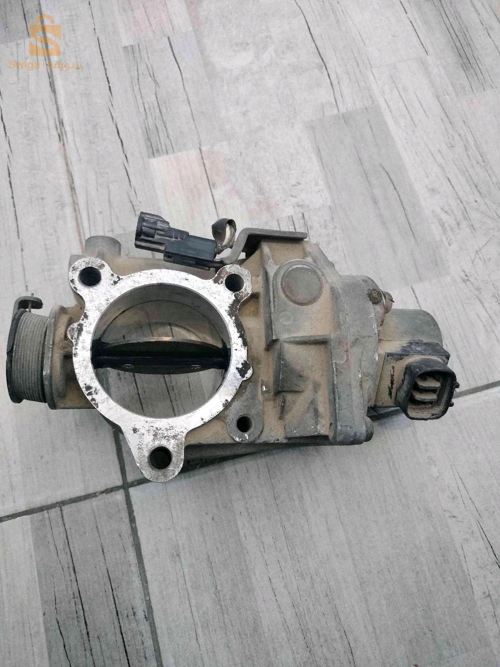 بابيون تويوتا هليكس