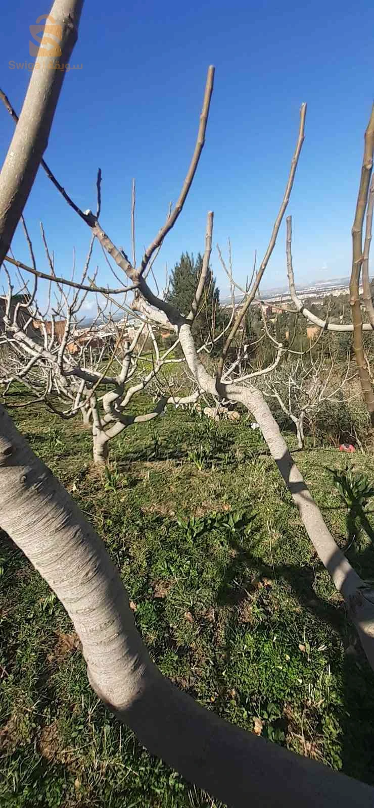 بيع قطعة ارض سكنية