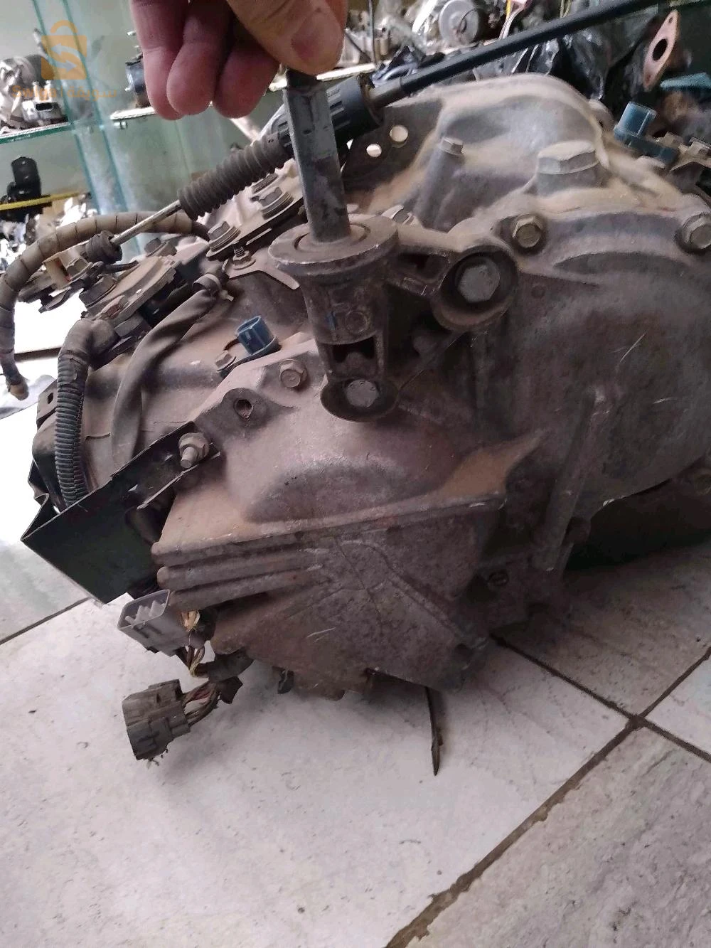 لبوات أتو تاع مڨان بيري و سينيق و لاڨونا