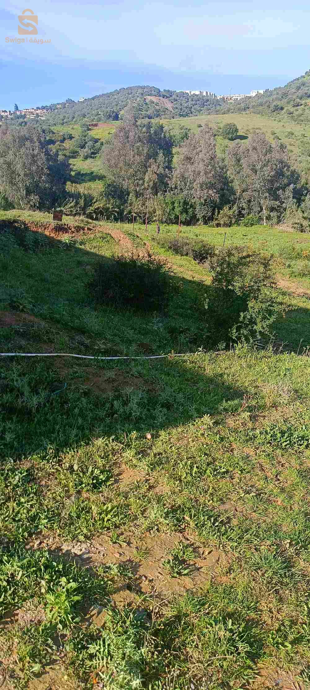 ارض للبيع
