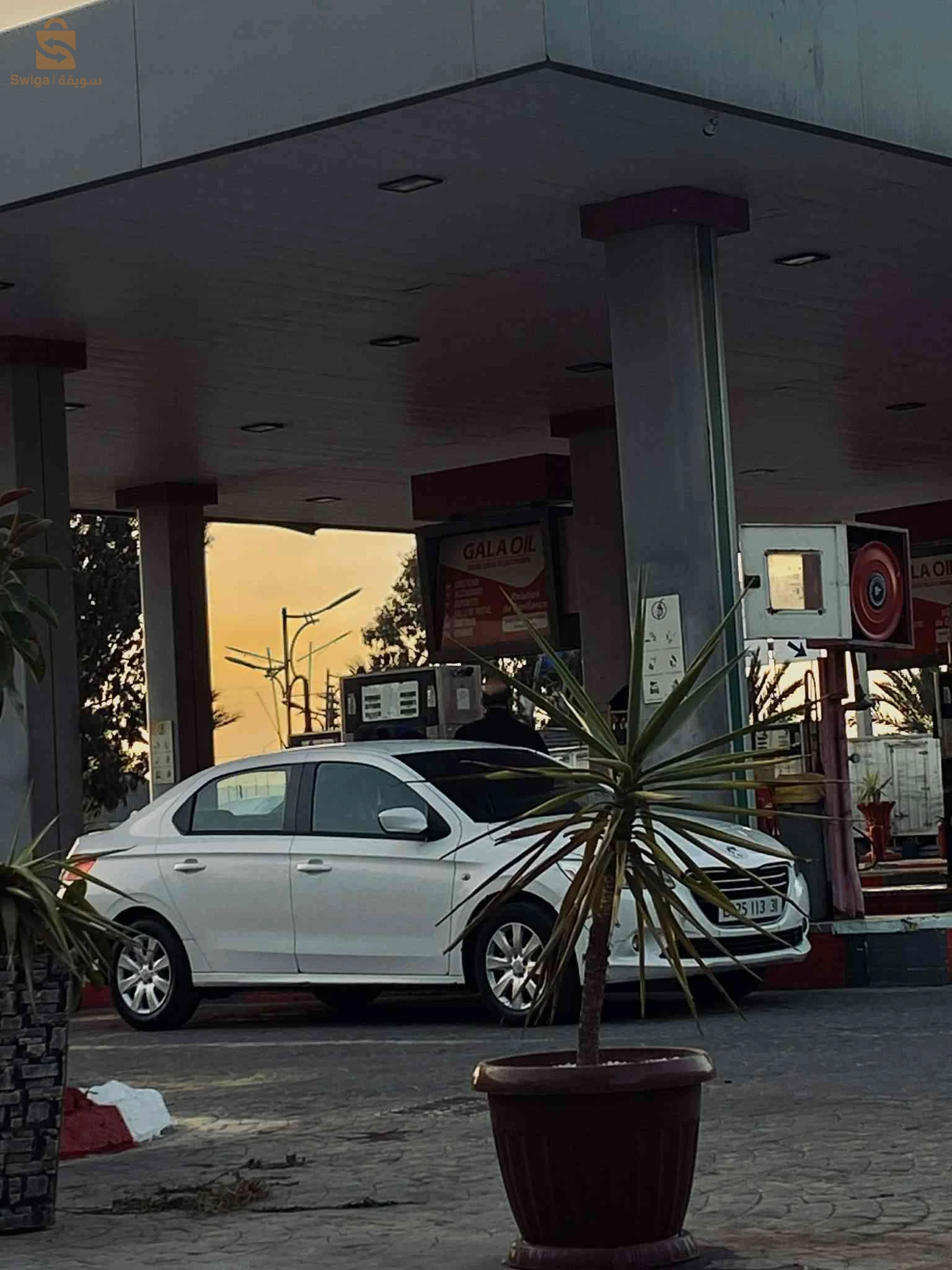 بيجو 301 2013 31 وهران