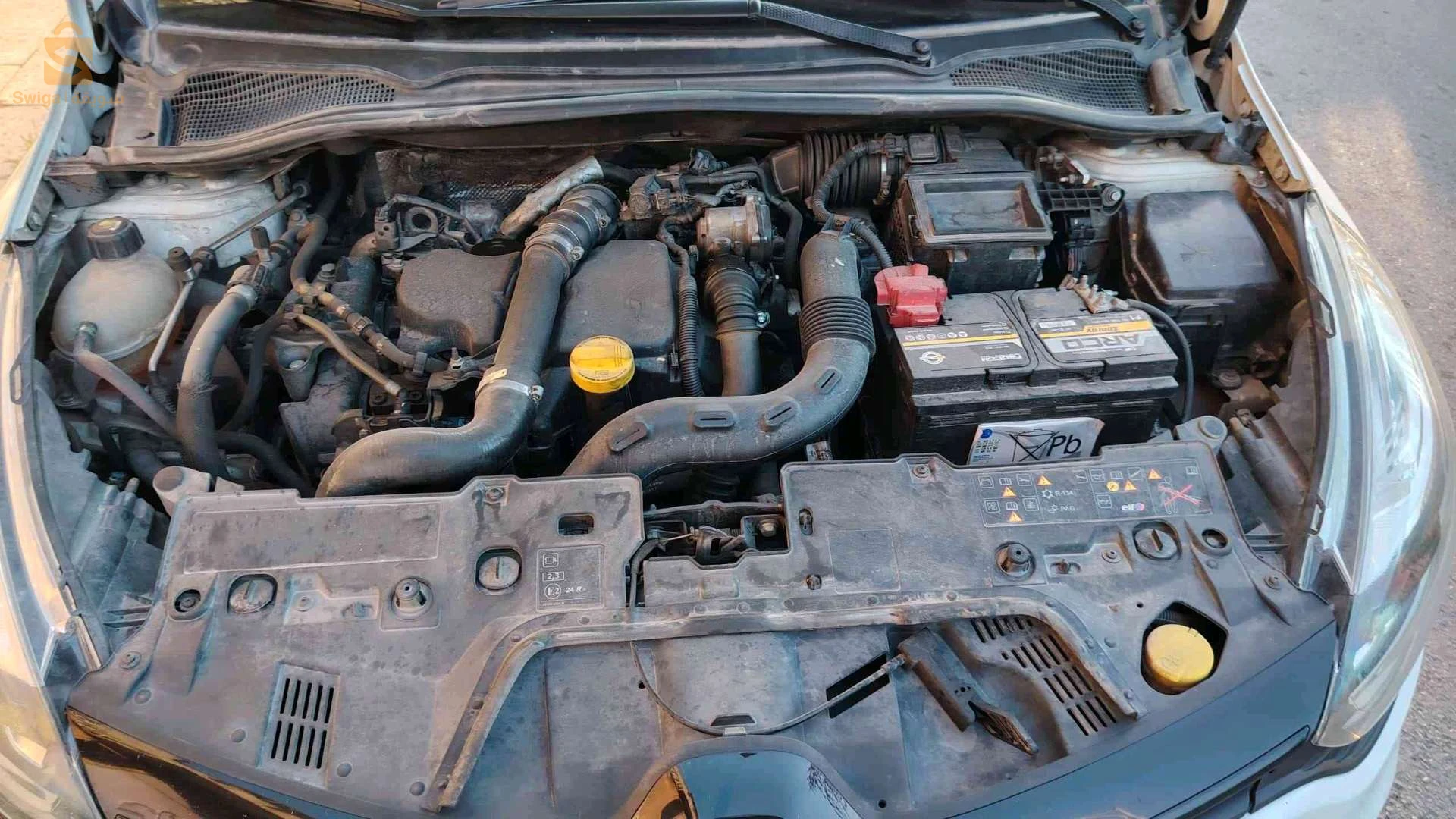 رينو Clio 4 2019 25 قسنطينة