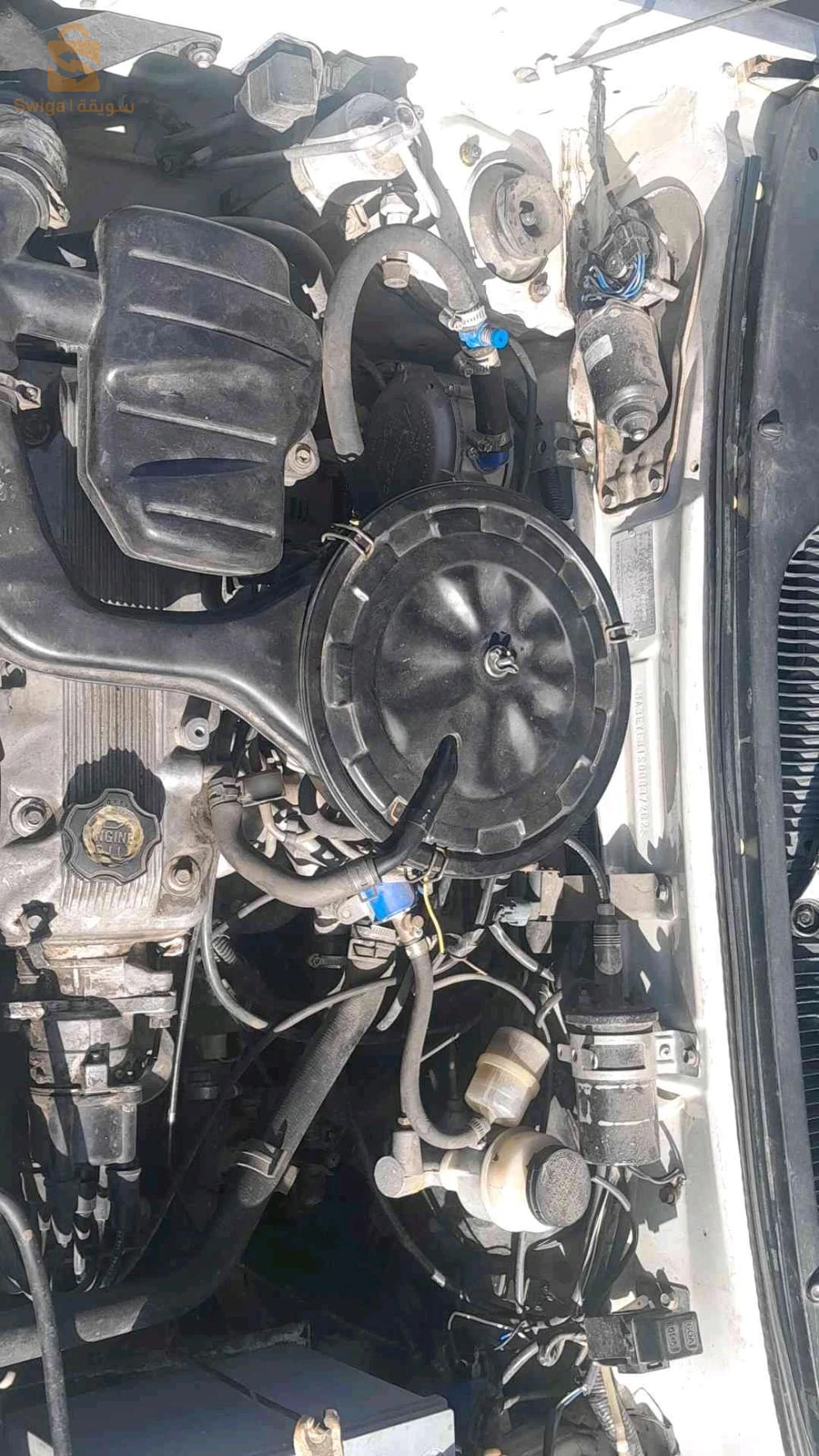 سوزوكي Maruti 2005 6 بجاية