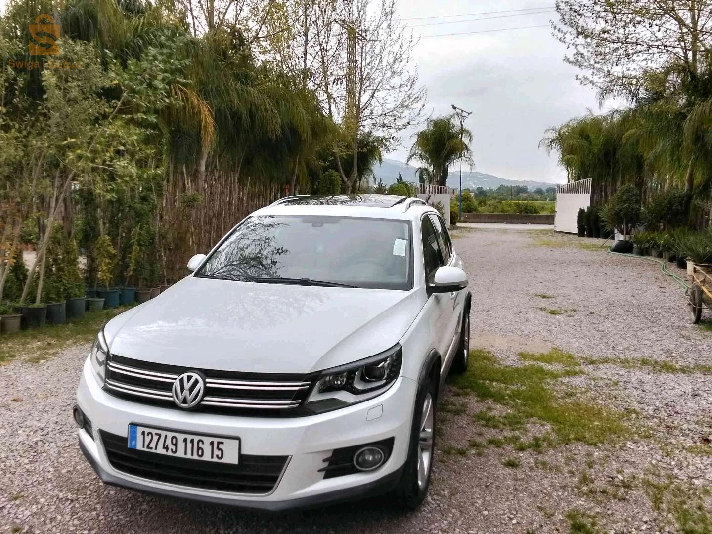 Volkswagen Tiguan 2016 15  TIZI OUZOU