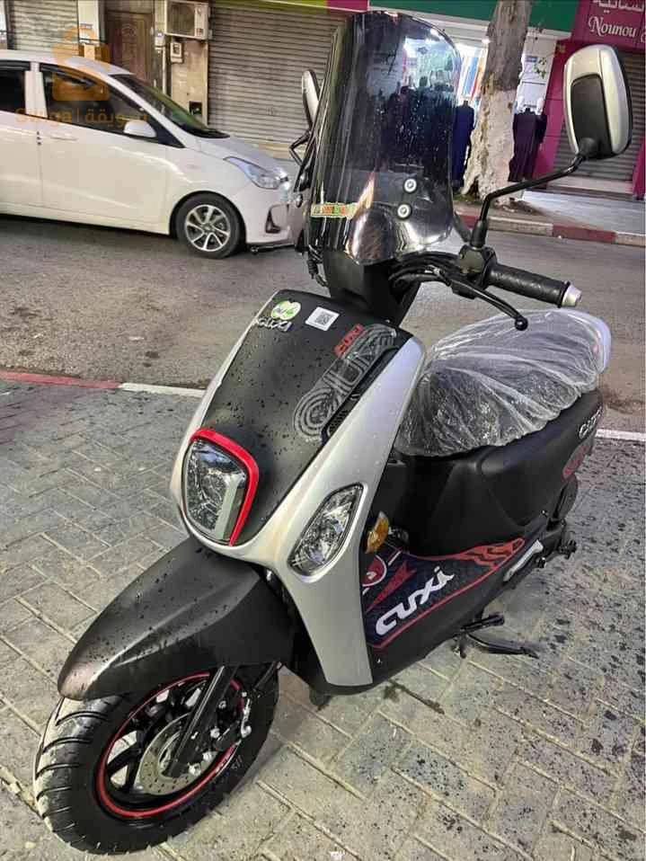 cuxi 2 2025