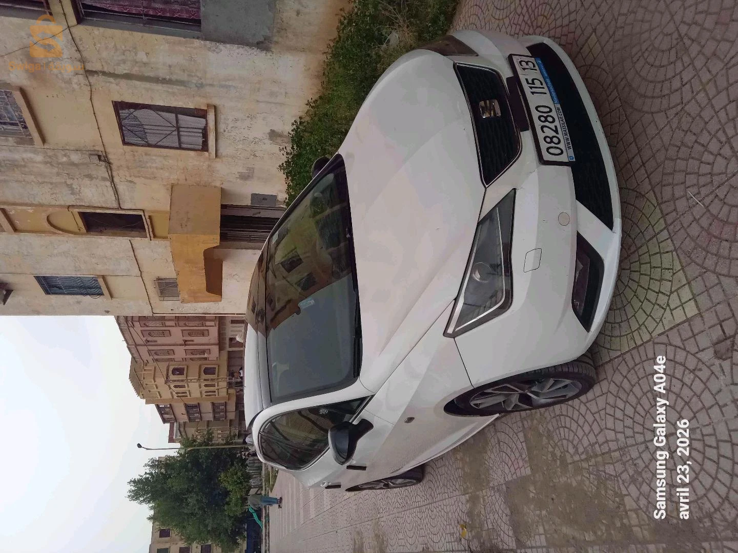 سيات Ibiza 2015 13 تلمسان