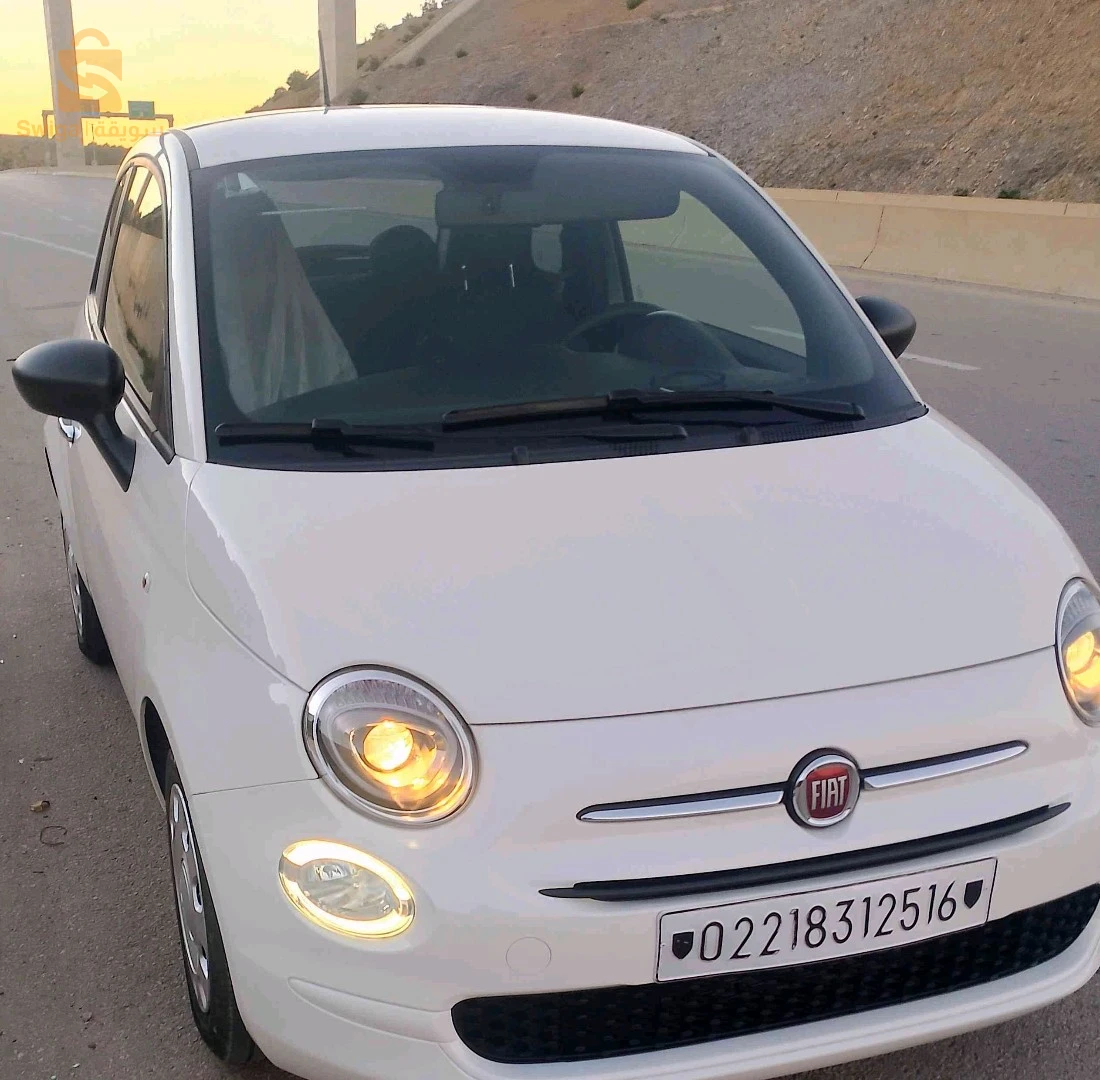 فيات 500 2025 42 تيبازة
