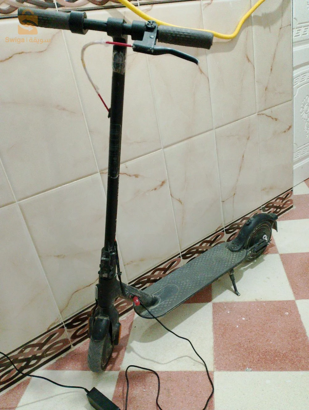 تروتينات
