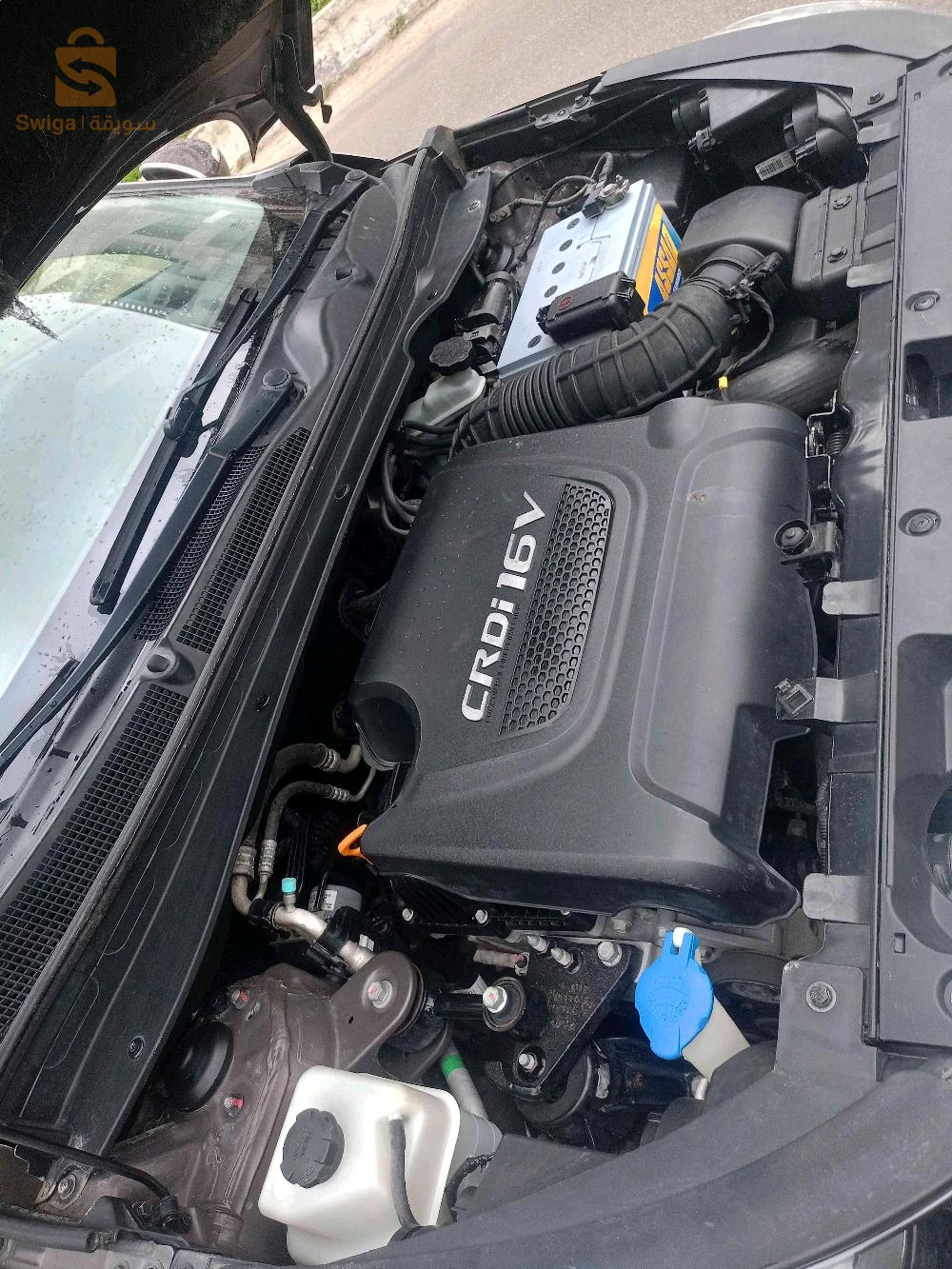 كيا Sportage 2015 21 سكيكدة