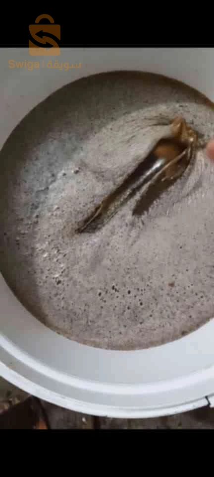 عسل طبيعي