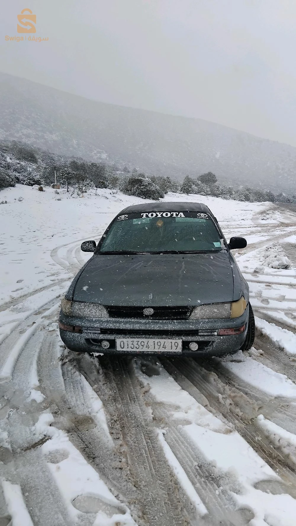 Toyota Corolla 1994 19 SETIF