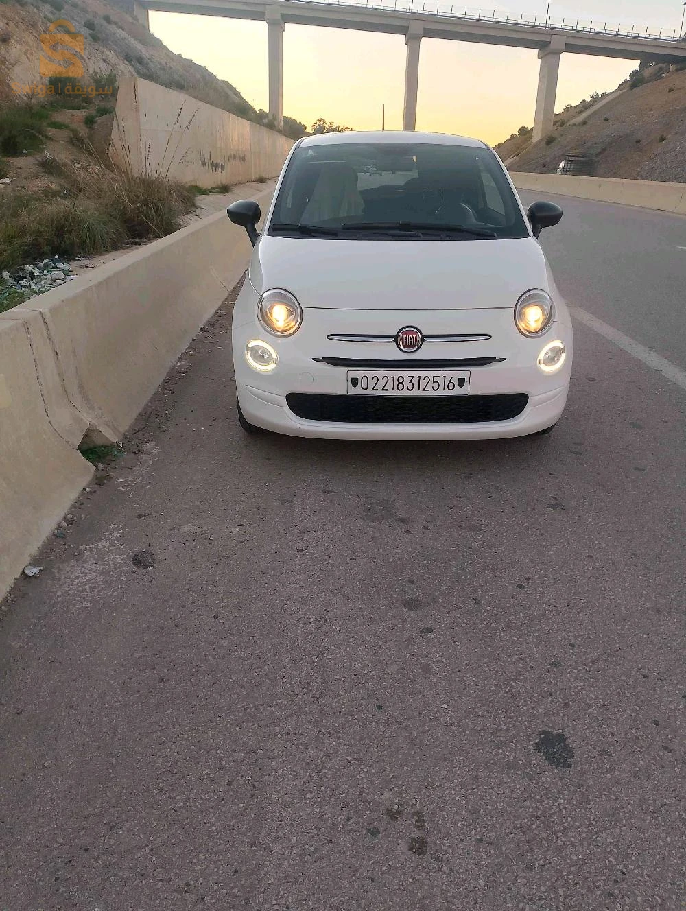 فيات 500 2025 42 تيبازة