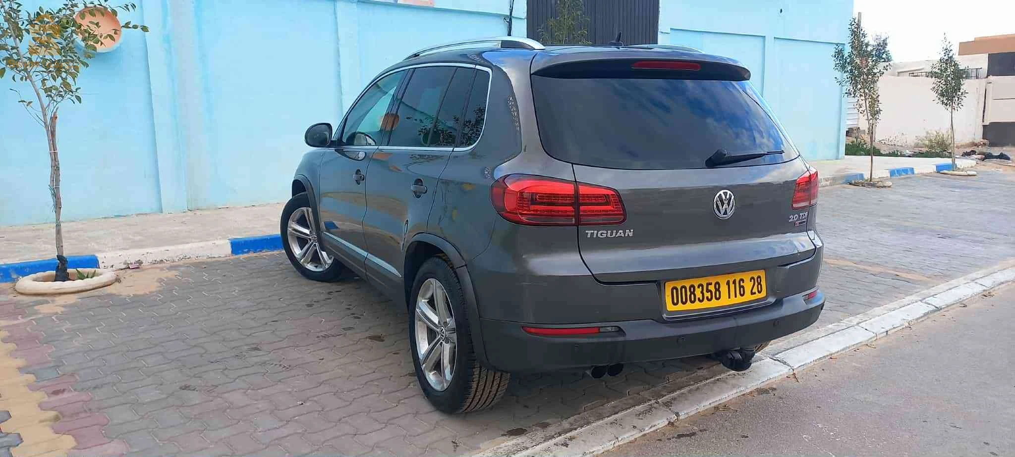 فولكس واجن Tiguan 2016 28 المسيلة