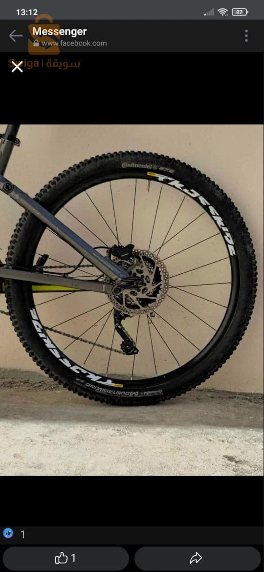 Velo VTT Canyon