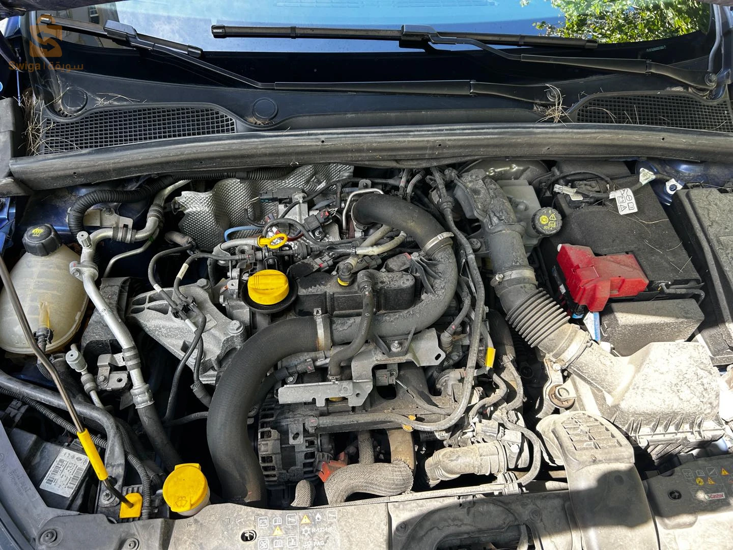 رينو Clio 5 2022 16 الجزائر