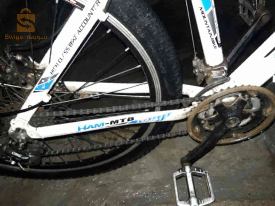 Vilo llbi1