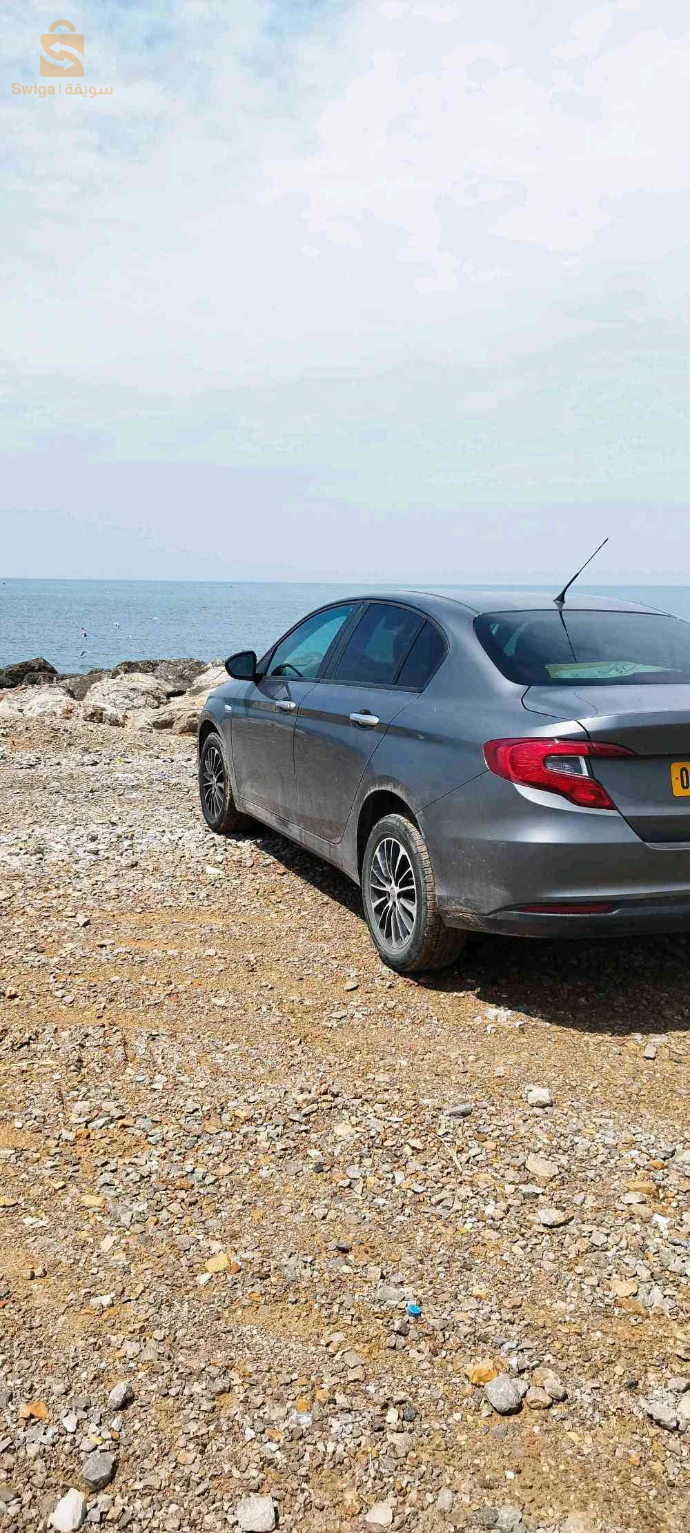 فيات Tipo Sedan 2023 16 الجزائر