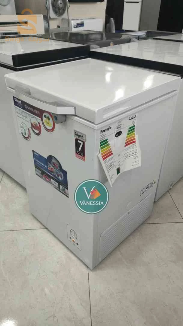 Congélateur Marque Géant 100L