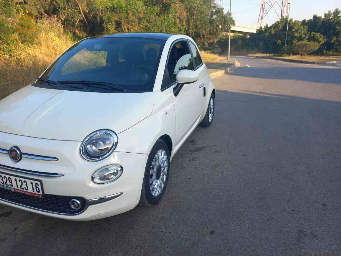 فيات 500 2023 الجزائر