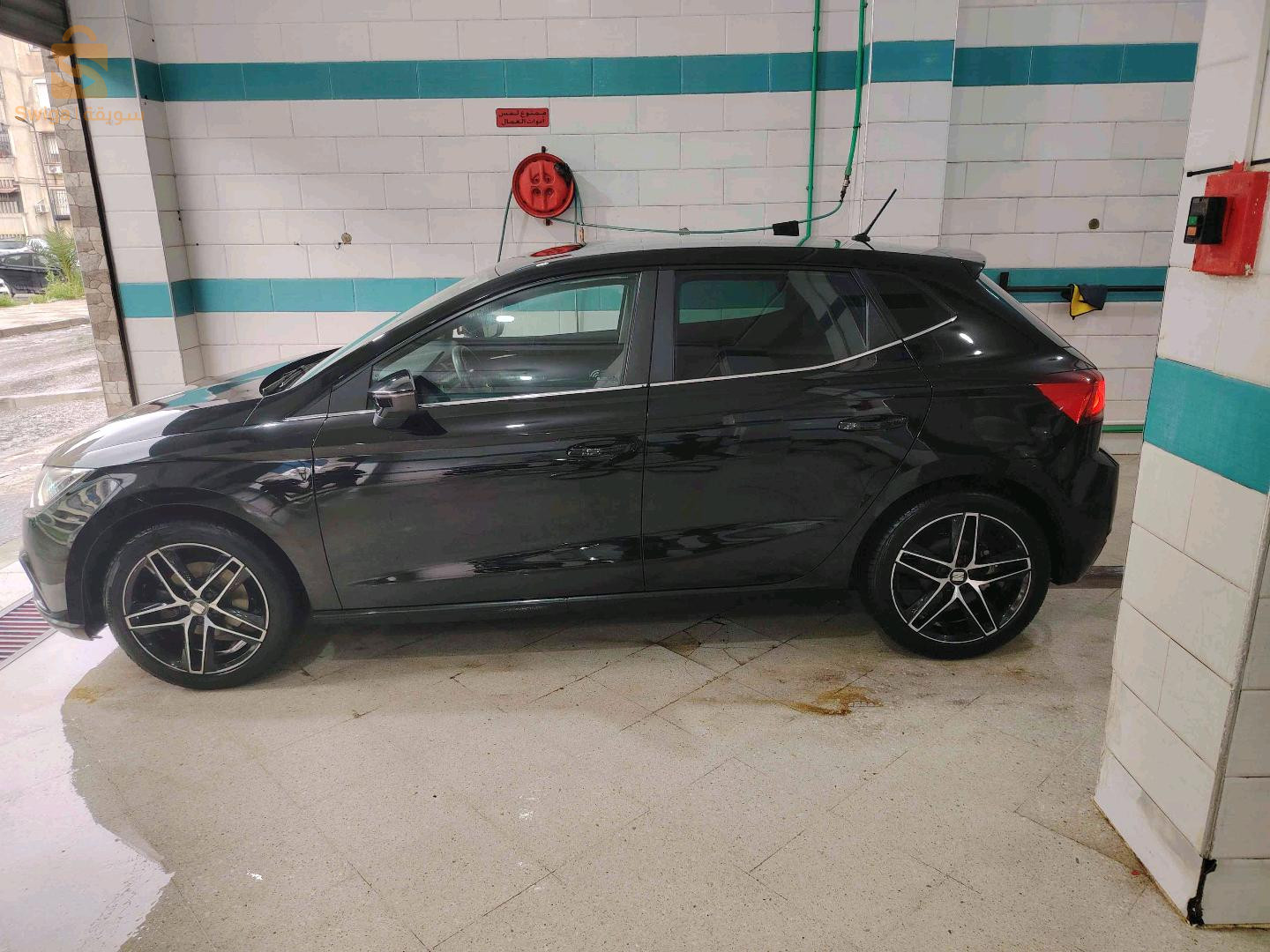 سيات Ibiza 2019 23 عنابة