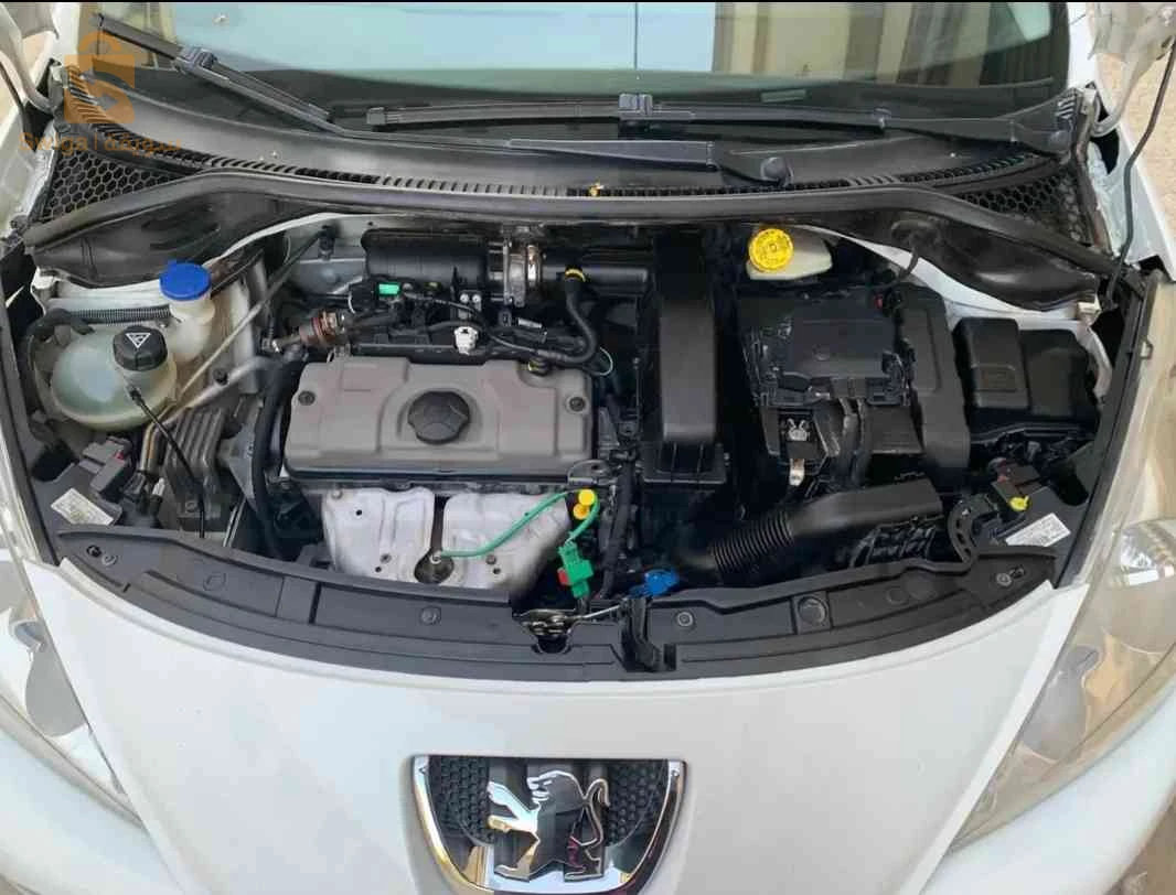 Peugeot 207 2012 MASCARA