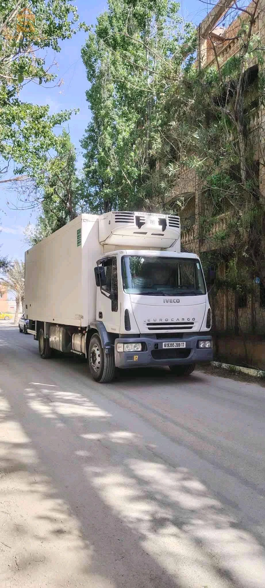 Iveco frigorifique