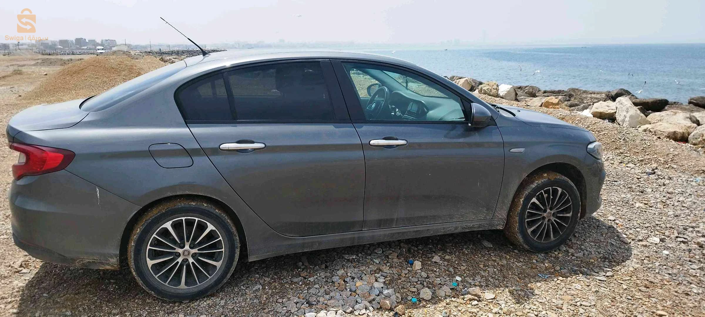 فيات Tipo Sedan 2023 16 الجزائر