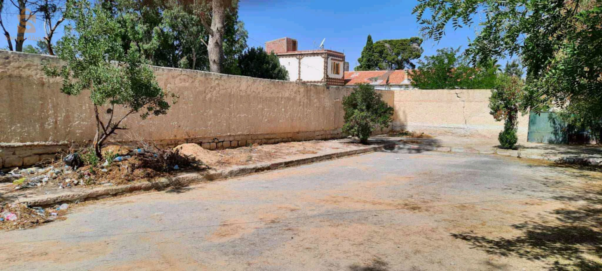 بيت فيها 400متر لو فيها 656 مع العاقد الملكيه مسكينة فيل _رقم الهاتف 0558408594