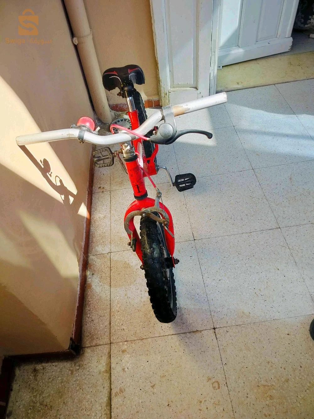 بيع داجات
