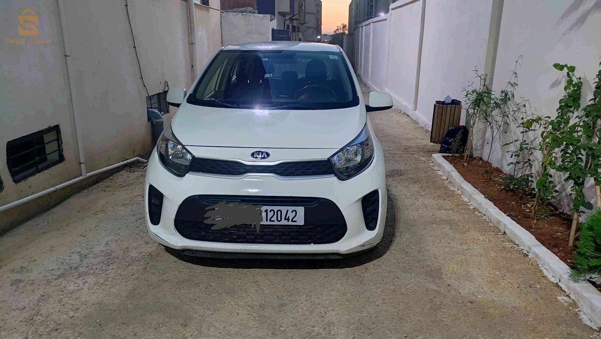 كيا Picanto 2020 تيبازة