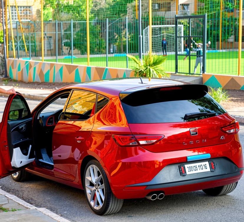 سيات Leon 2013 45 النعامة