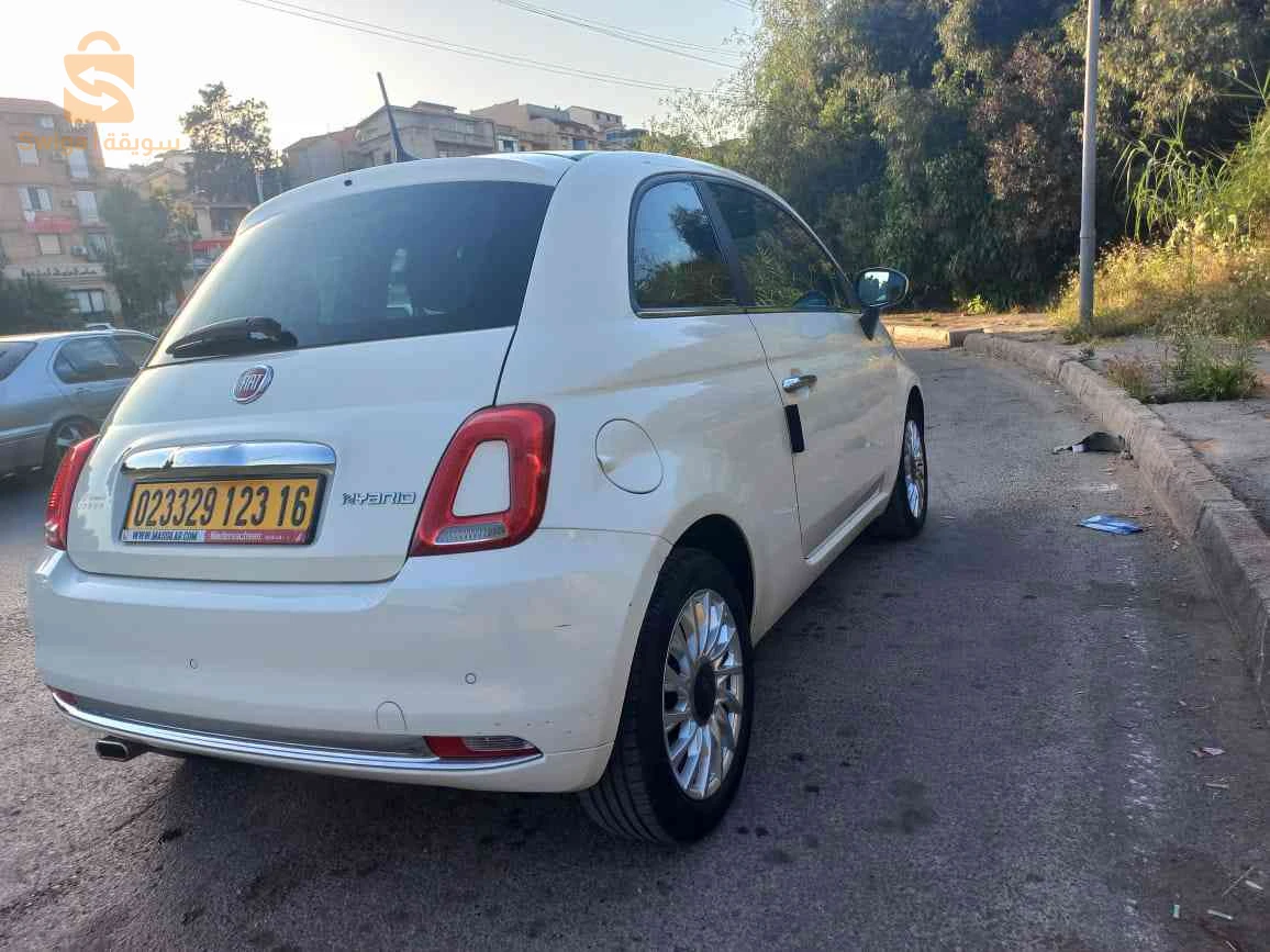 فيات 500 2023 الجزائر