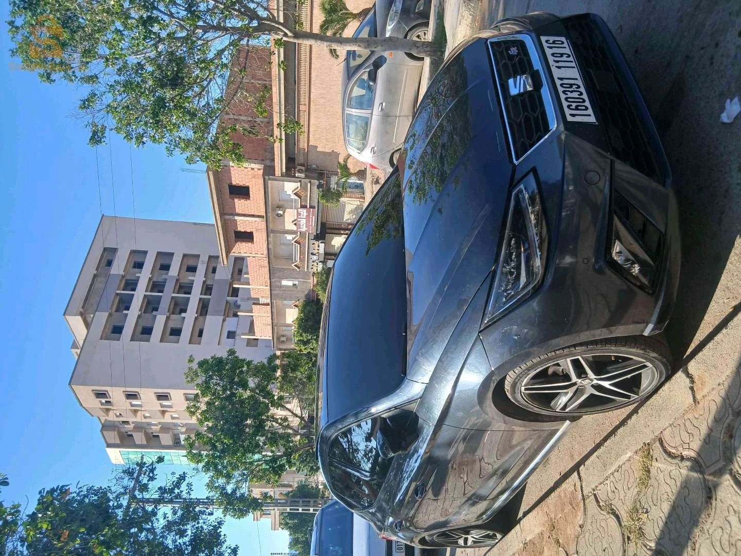 سيات Ibiza 2019 شلف