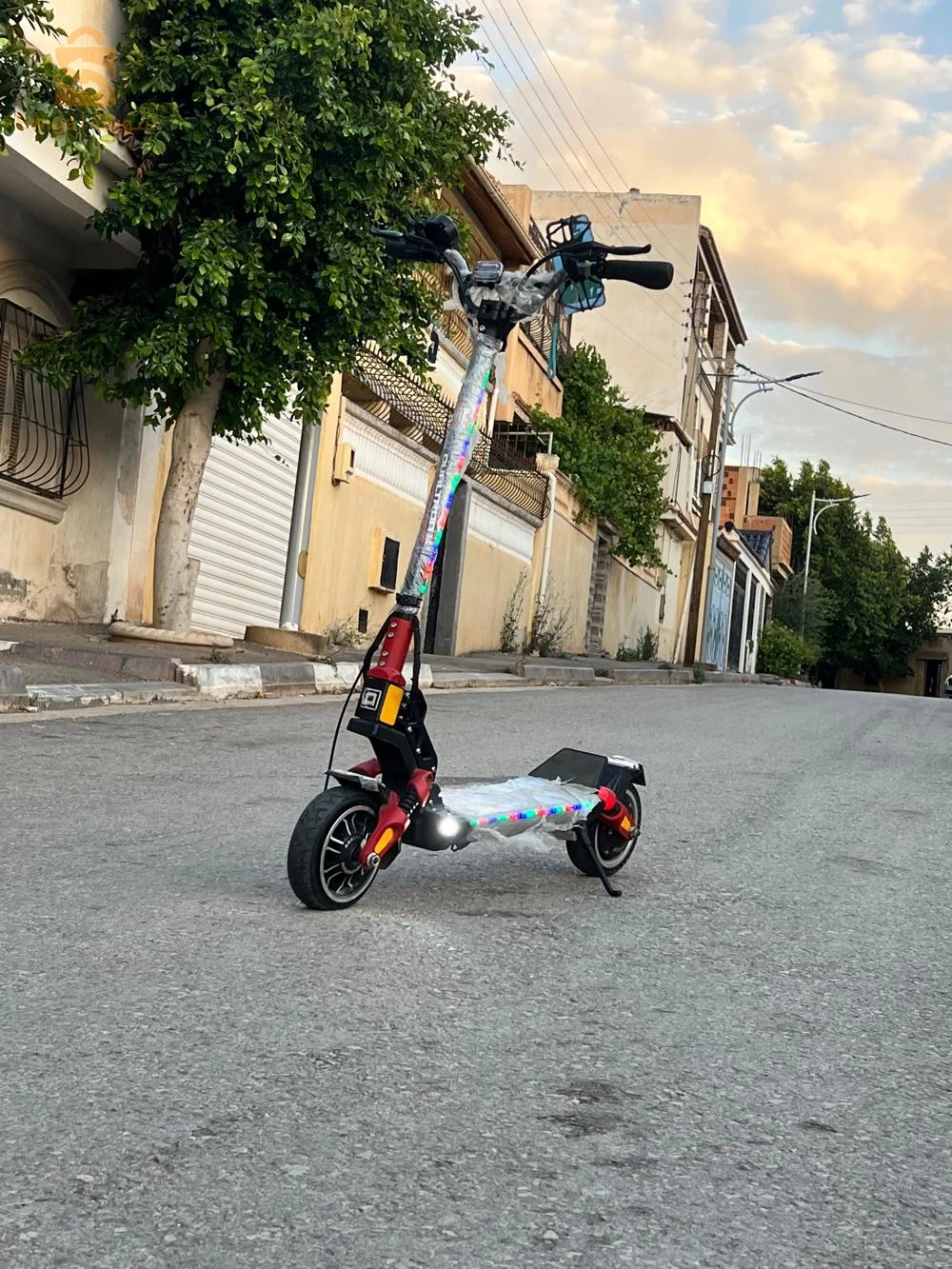dualtron mini