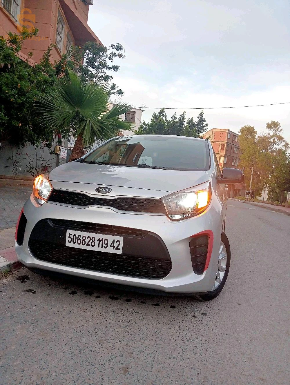 كيا Picanto 2019 42 تيبازة