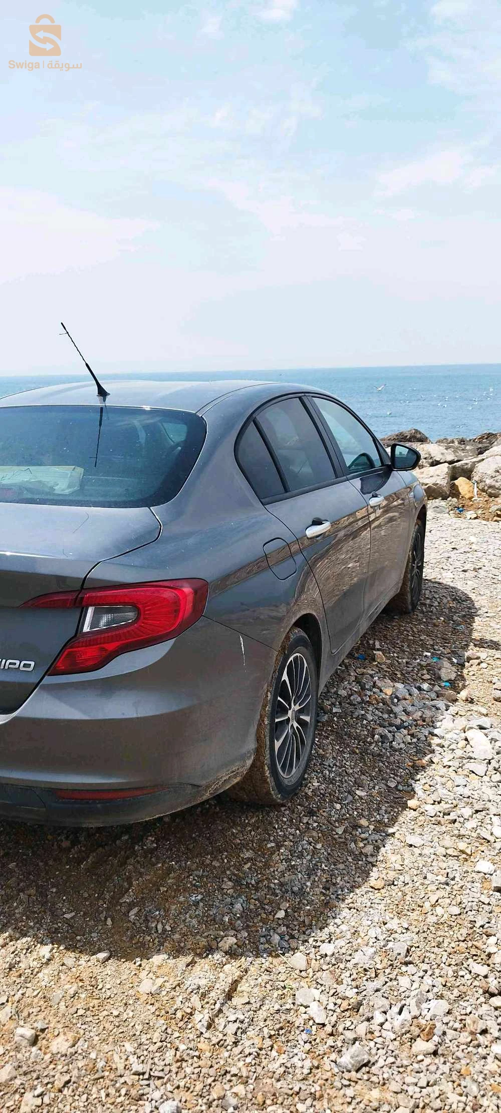 فيات Tipo Sedan 2023 16 الجزائر