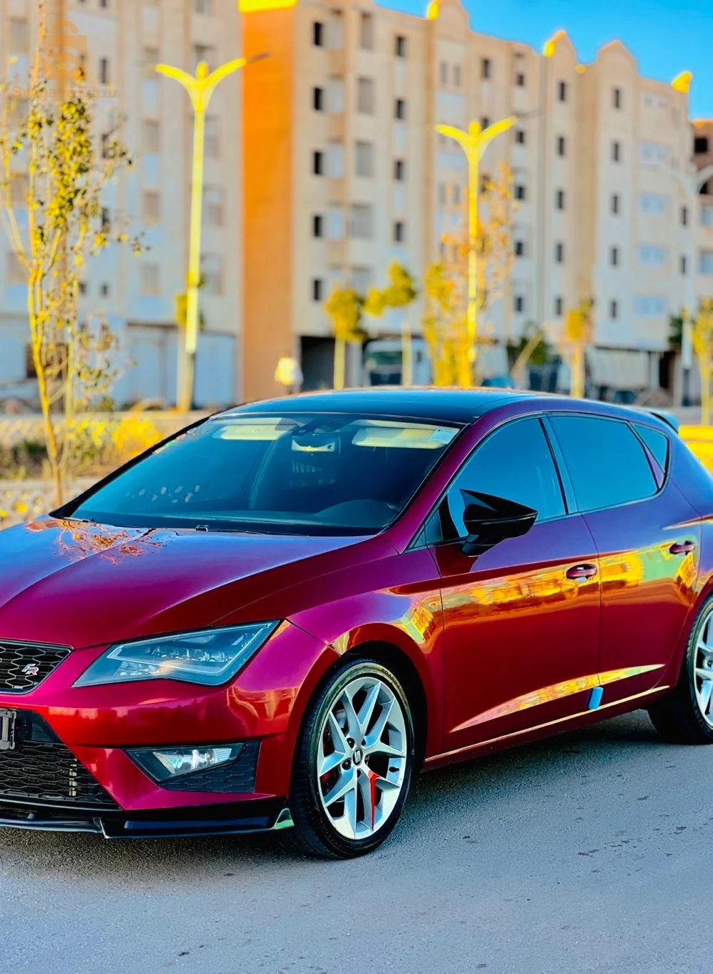 سيات Leon 2013 45 النعامة