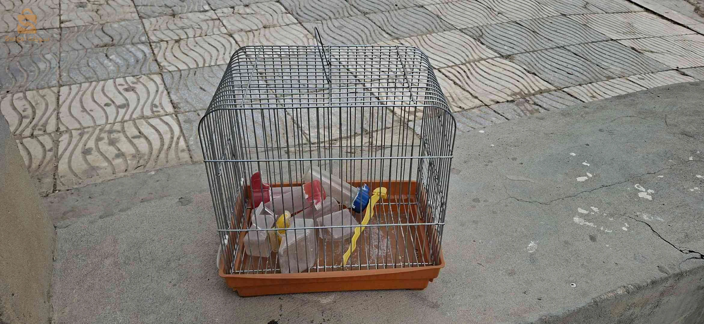 لوازم دجاج وطيور
