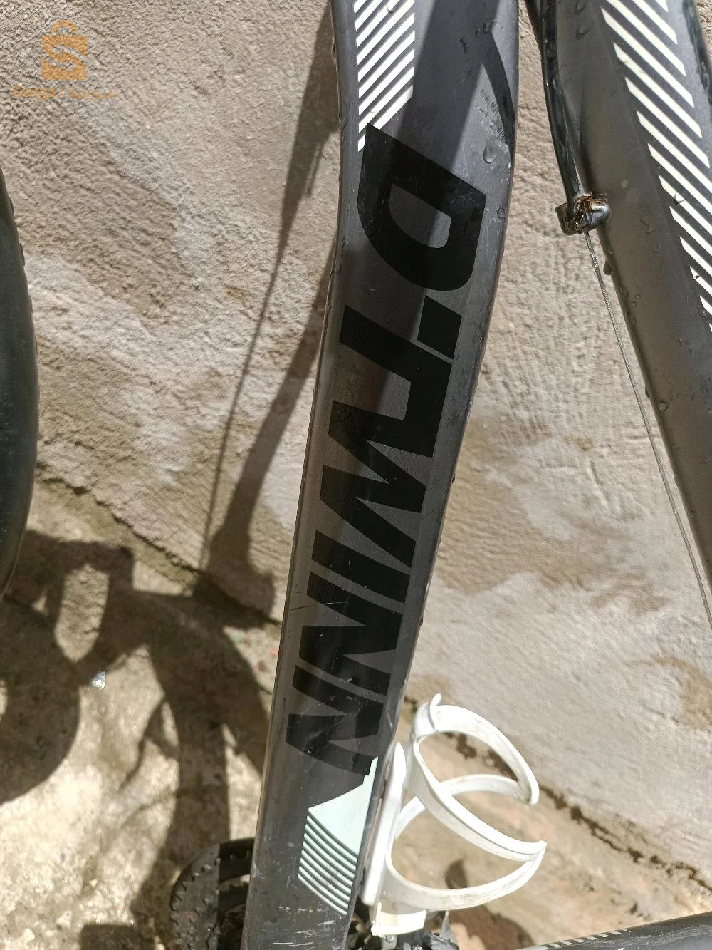 DTWINN