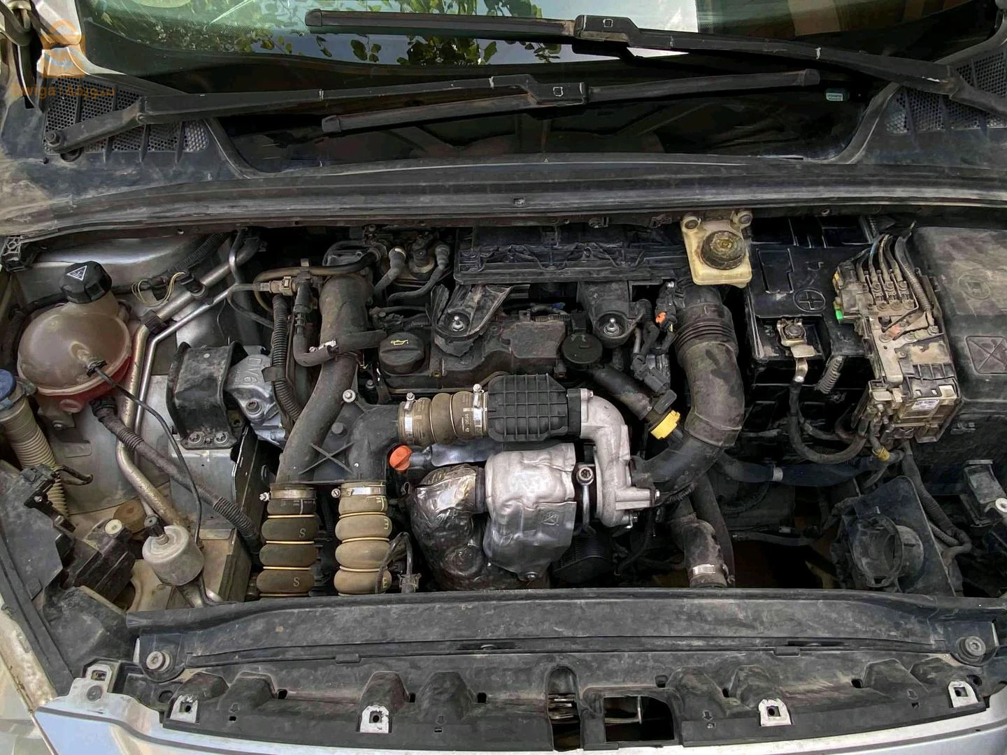 Peugeot 308 2008 BATNA