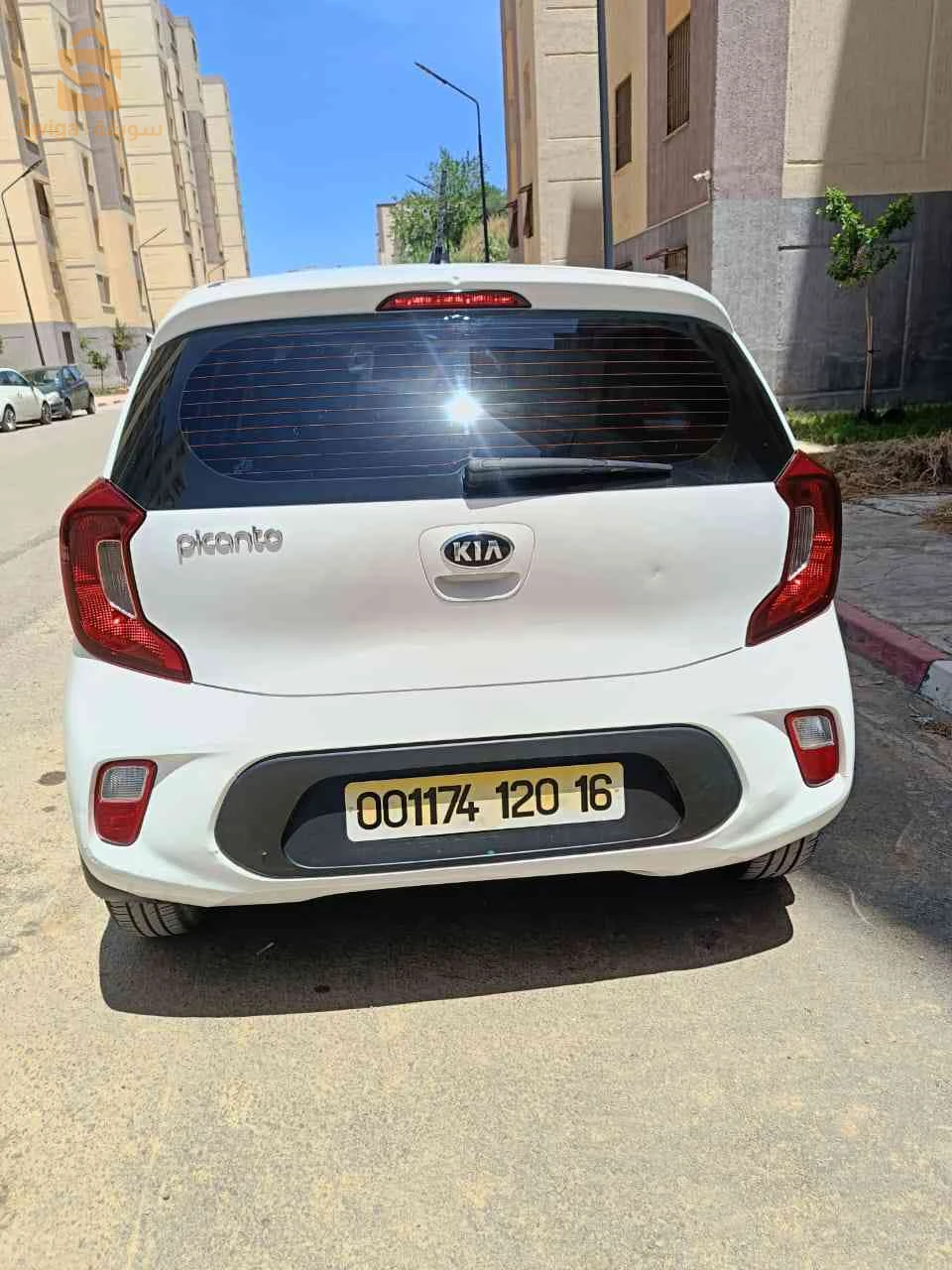 كيا Picanto 2020 الجزائر