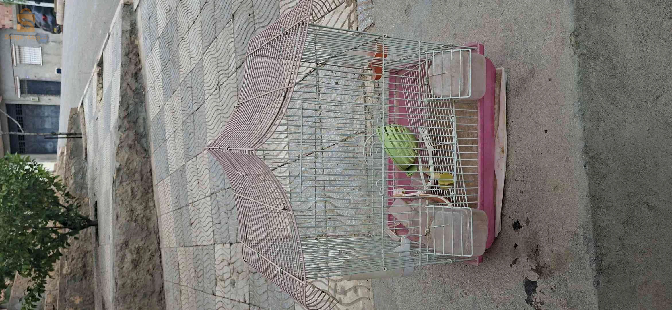 لوازم دجاج وطيور
