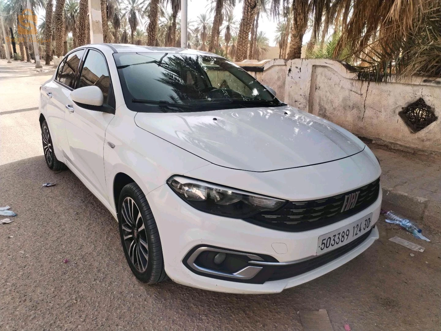 فيات Tipo Sedan 2024 ورقلة