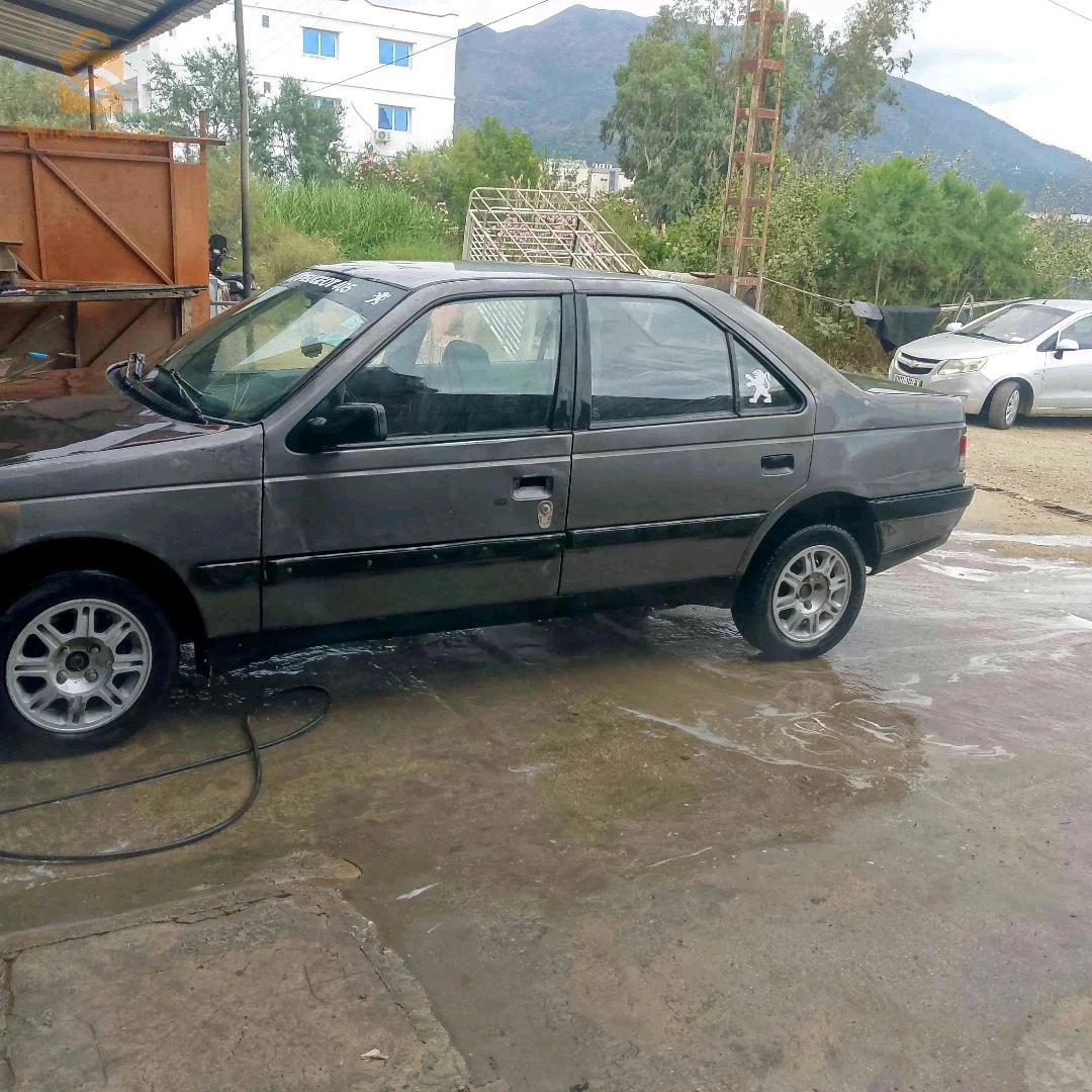 Peugeot 405 1989 JIJEL