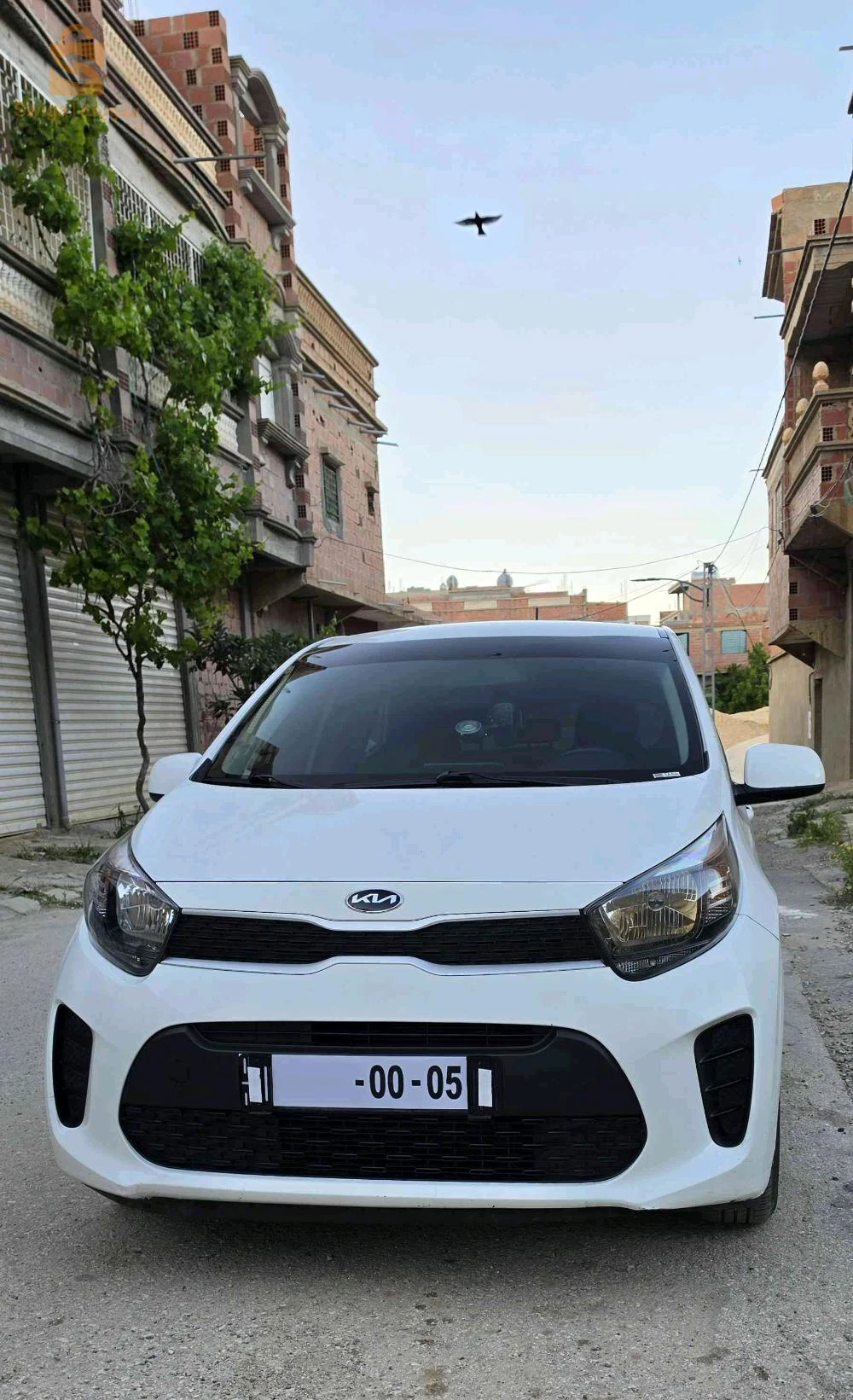 كيا Picanto 2019 خنشلة